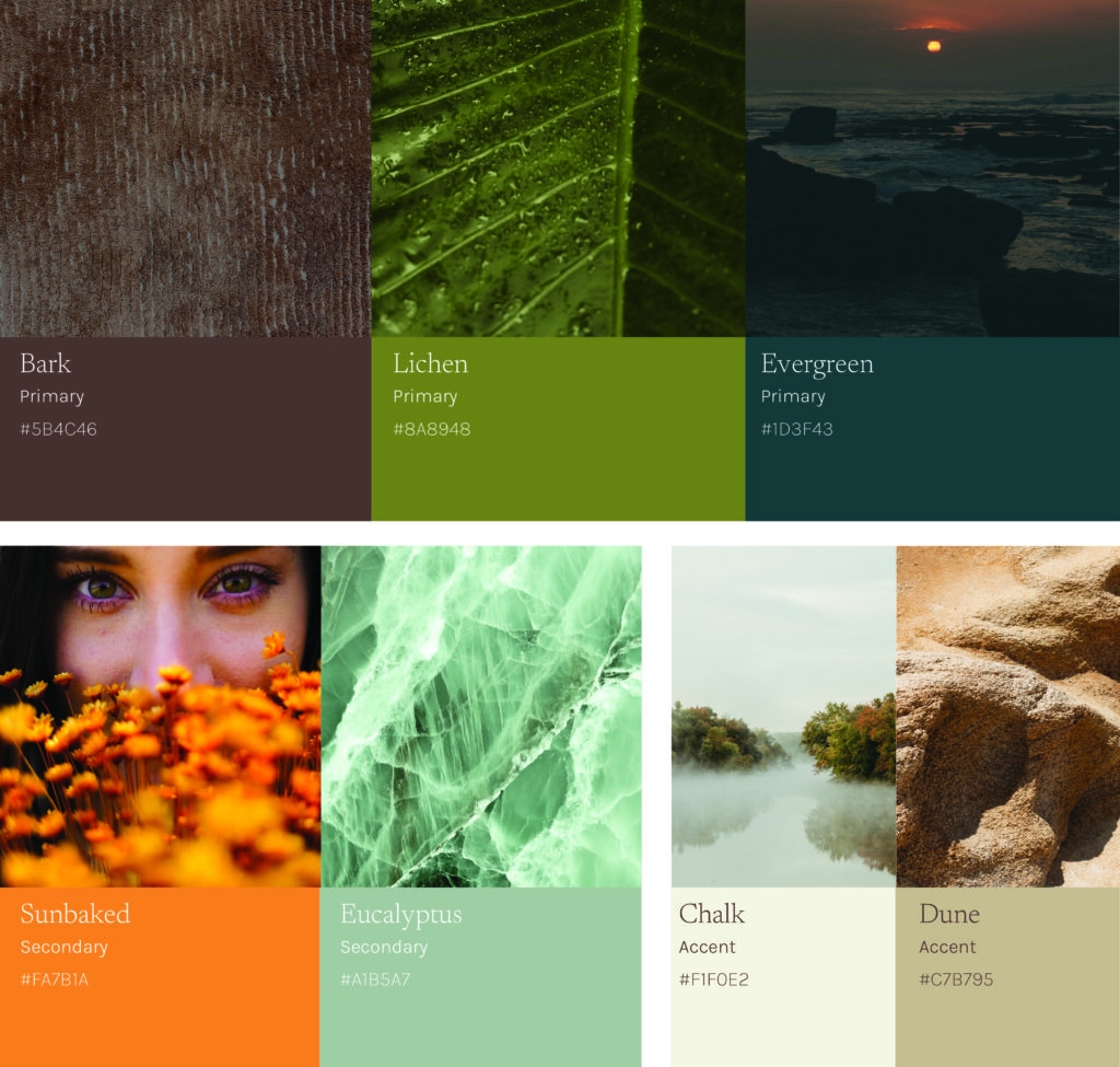 Nature-inspired color palette with bark brown, lichen green, evergreen teal, sunbaked orange, eucalyptus green, chalk white, and dune beige tones